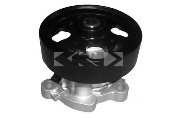 SPIDAN 91673 Водяной насос 