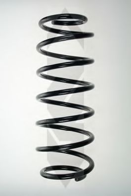 SPIDAN 48497 Пружина ходовой части 