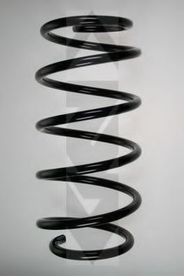 SPIDAN 48249 Пружина ходовой части 