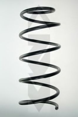 SPIDAN 48451 Пружина ходовой части 