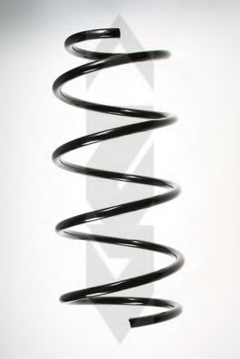 SPIDAN 49163 Пружина ходовой части 