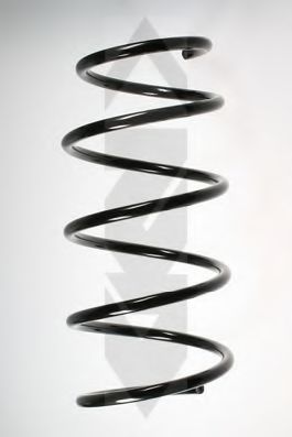 SPIDAN 49319 Пружина ходовой части 