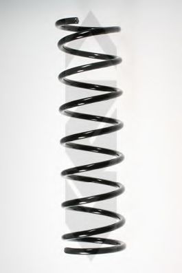 SPIDAN 48259 Пружина ходовой части 