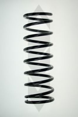 SPIDAN 48919 Пружина ходовой части 