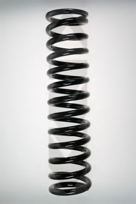 SPIDAN 49221 Пружина ходовой части 