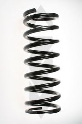 SPIDAN 48169 Пружина ходовой части 