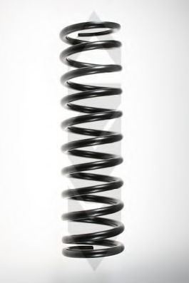 SPIDAN 48675 Пружина ходовой части 