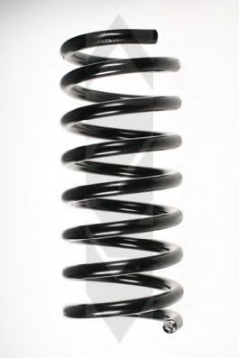 SPIDAN 48663 Пружина ходовой части 