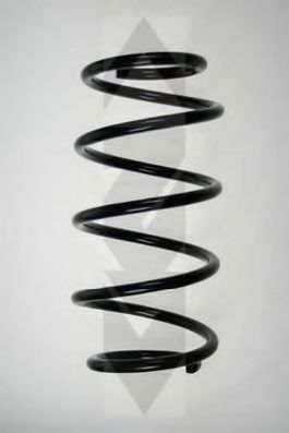 SPIDAN 48489 Пружина ходовой части 