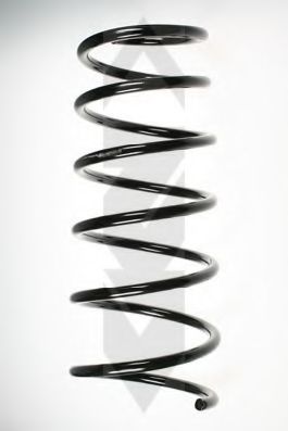 SPIDAN 49070 Пружина ходовой части 