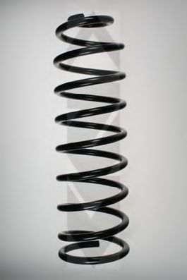 SPIDAN 48339 Пружина ходовой части 