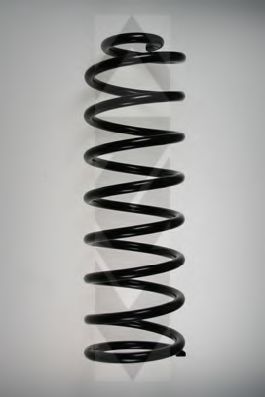 SPIDAN 48784 Пружина ходовой части 