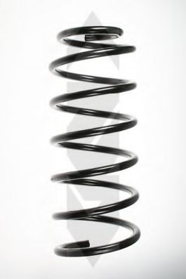 SPIDAN 49148 Пружина ходовой части 