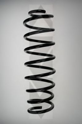 SPIDAN 49161 Пружина ходовой части 