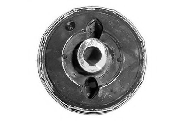 SPIDAN 410995 Подвеска, рычаг независимой подвески колеса 