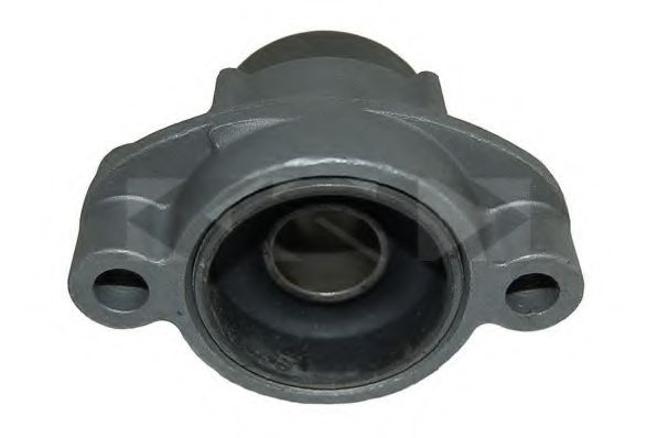 SPIDAN 411642 Подвеска, рычаг независимой подвески колеса 