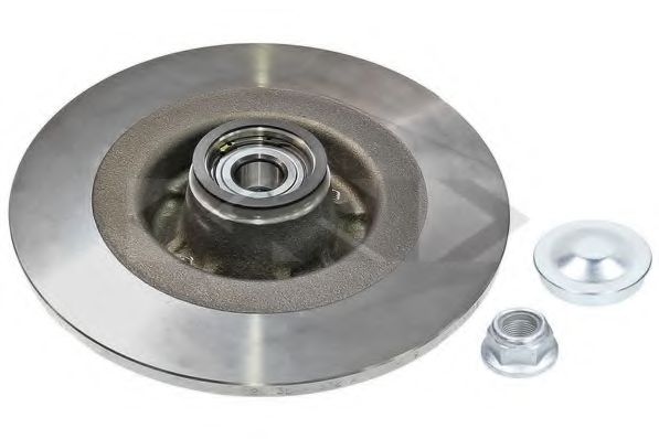 SPIDAN 72171 Тормозной диск для RENAULT (Рено) SPIDAN 72171 Тормозной диск для RENAULT (Рено)