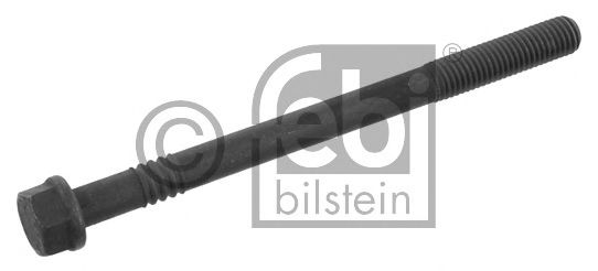 FEBI BILSTEIN 06229 Болт головки цилидра 