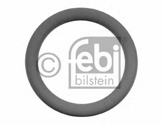 FEBI BILSTEIN 07593 Уплотнительное кольцо, тормозная колодка; Уплотнительное кольцо для MAN M 90 (Ман М 90) FEBI BILSTEIN 07593 Уплотнительное кольцо, тормозная колодка; Уплотнительное кольцо для MAN M 90 (Ман М 90)