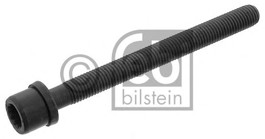 FEBI BILSTEIN 14342 Болт головки цилидра<br >10 