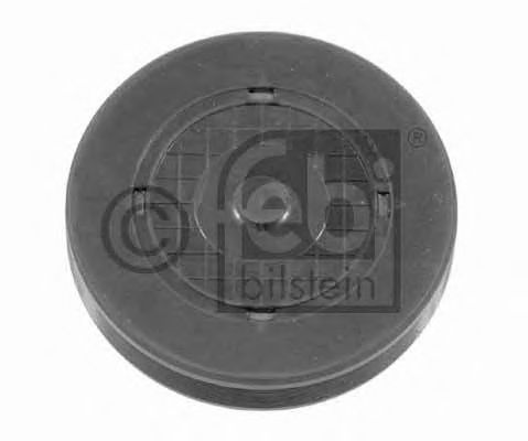 FEBI BILSTEIN 23204 Заглушка, ось коромысла-монтажное отверстие для DACIA SANDERO (Дача Сандэро) FEBI BILSTEIN 23204 Заглушка, ось коромысла-монтажное отверстие для DACIA SANDERO (Дача Сандэро)