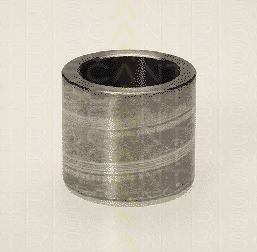 TRISCAN 8170 233309 Поршень, корпус скобы тормоза 