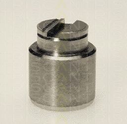 TRISCAN 8170 233402 Поршень, корпус скобы тормоза 