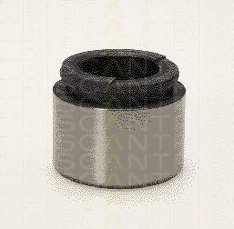 TRISCAN 8170 233625 Поршень, корпус скобы тормоза 