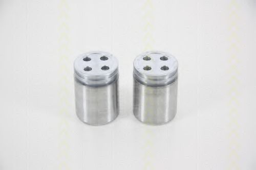 TRISCAN 8170 233632 Поршень, корпус скобы тормоза 
