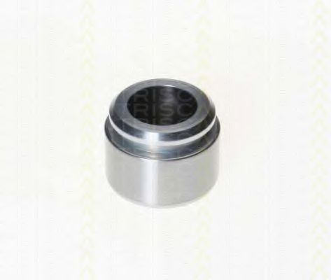 TRISCAN 8170 233855 Поршень, корпус скобы тормоза 