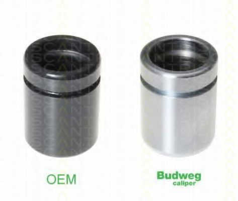 TRISCAN 8170 233868 Поршень, корпус скобы тормоза 