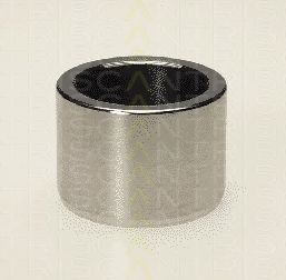 TRISCAN 8170 234005 Поршень, корпус скобы тормоза 