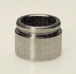 TRISCAN 8170 234210 Поршень, корпус скобы тормоза 