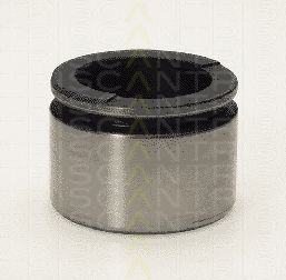 TRISCAN 8170 234218 Поршень, корпус скобы тормоза 