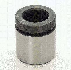 TRISCAN 8170 234219 Поршень, корпус скобы тормоза 