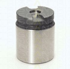 TRISCAN 8170 234220 Поршень, корпус скобы тормоза 