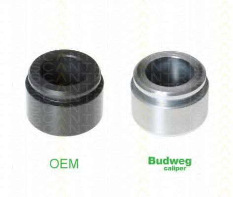 TRISCAN 8170 234228 Поршень, корпус скобы тормоза 