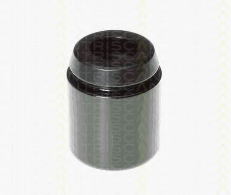 TRISCAN 8170 234231 Поршень, корпус скобы тормоза 