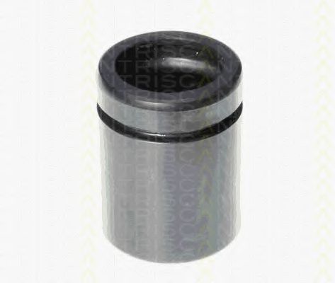 TRISCAN 8170 234233 Поршень, корпус скобы тормоза 