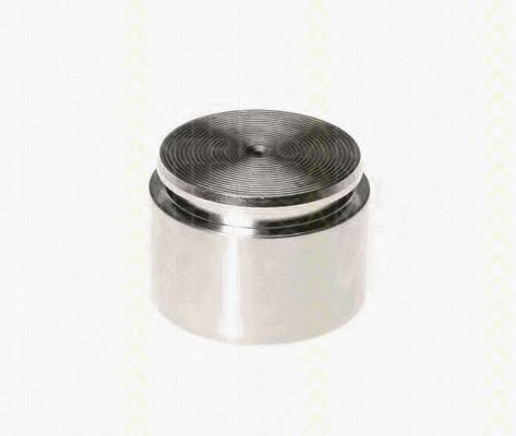TRISCAN 8170 234420 Поршень, корпус скобы тормоза для BMW (Бмв) TRISCAN 8170 234420 Поршень, корпус скобы тормоза для BMW (Бмв)