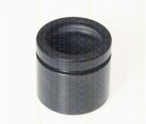 TRISCAN 8170 235481 Поршень, корпус скобы тормоза для FIAT 500 C (Фиат 500 c) TRISCAN 8170 235481 Поршень, корпус скобы тормоза для FIAT 500 C (Фиат 500 c)