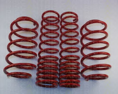 TRISCAN 8755 29011 Комплект ходовой части, пружины для AUDI 80 (Ауди 80) TRISCAN 8755 29011 Комплект ходовой части, пружины для AUDI 80 (Ауди 80)