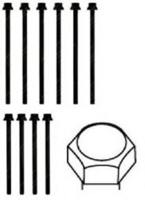 PAYEN HBS391 Комплект болтов головки цилидра 