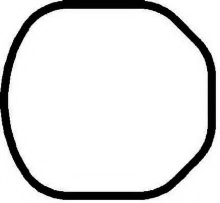 PAYEN JM869 Прокладка, крышка головки цилиндра для IVECO (Ивеко) PAYEN JM869 Прокладка, крышка головки цилиндра для IVECO (Ивеко)