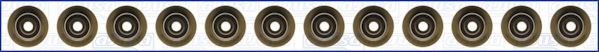 AJUSA 57060100 Комплект прокладок, стержень клапана для FORD USA CON (Форд сша Cон) AJUSA 57060100 Комплект прокладок, стержень клапана для FORD USA CON (Форд сша Cон)