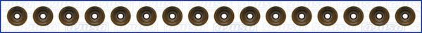 AJUSA 57019400 Комплект прокладок, стержень клапана для ROVER 400 (Ровер 400) AJUSA 57019400 Комплект прокладок, стержень клапана для ROVER 400 (Ровер 400)