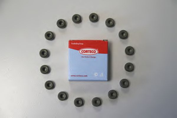 CORTECO 19036100 Комплект прокладок, стержень клапана 