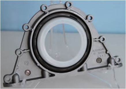 CORTECO 20033891B Уплотняющее кольцо, коленчатый вал 