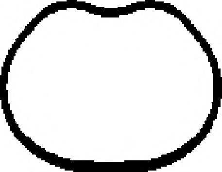 CORTECO 450136H Прокладка, впускной коллектор для FORD FUSION (Форд Фьюжн) CORTECO 450136H Прокладка, впускной коллектор для FORD FUSION (Форд Фьюжн)