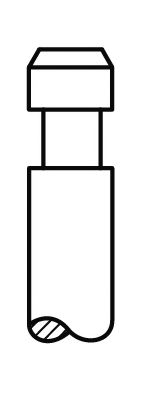 AE V94556 Выпускной клапан 